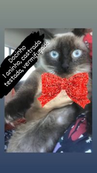 Docinho