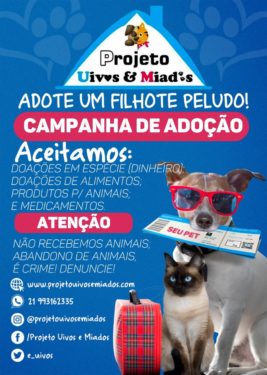 Evento de adoção de cães e gatos RJ