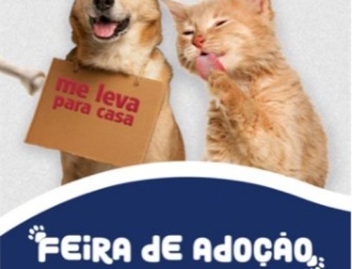 EVENTO DE ADOÇÃO DE CÃES E GATOS NO RJ