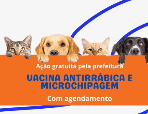 Ação gratuita de vacinação antirrábica e microchipagem para cães e gatos RJ