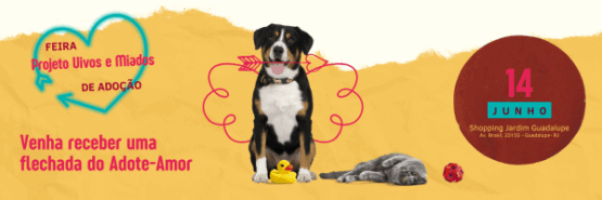 Animais Disponíveis para Adoção e a Importância da Adoção Responsável