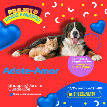 Adoção de cãees e gatos